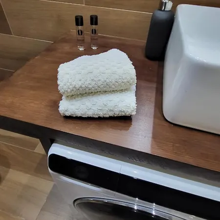 Sauna Wola Centrum Subway Apartment Warsaw